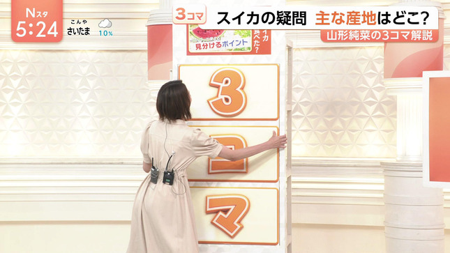 山形純菜 Nスタ 12