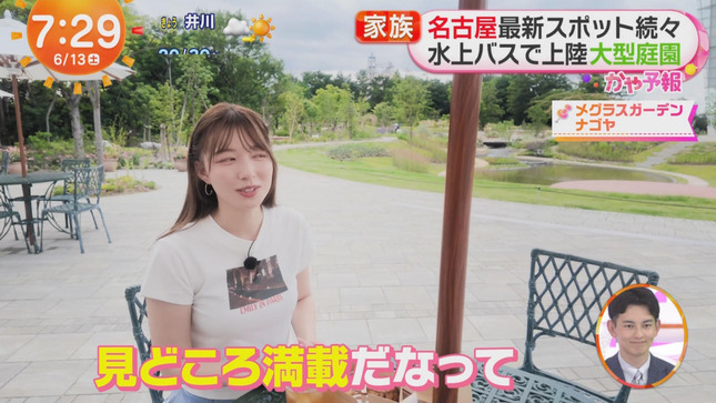 阿部華也子 めざましどようび 15