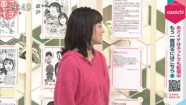 鈴木奈穂子 あさイチ 14