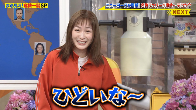岩田絵里奈 世界まる見え！テレビ特捜部 8