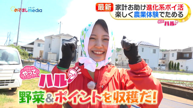 高崎春 めざましテレビ 5