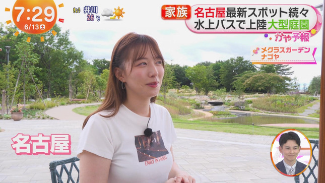 阿部華也子 めざましどようび 17