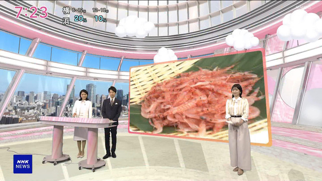 是永千恵 おはよう日本 16