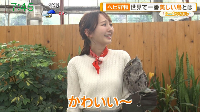 佐々木若葉 グッド！モーニング 5