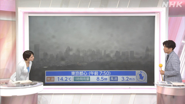 赤木野々花 おはよう日本 7