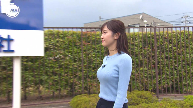 嶺百花 ワールドビジネスサテライト 4