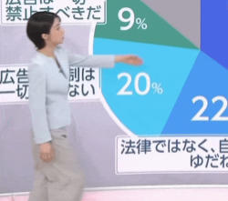 赤木野々花 おはよう日本 28