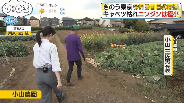 渡邉結衣 ZIP! 6