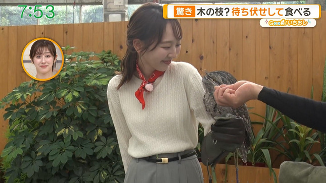 佐々木若葉 グッド！モーニング 17
