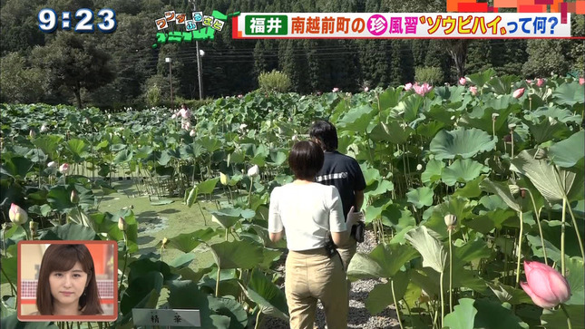 山本雪乃 モーニングショー 8