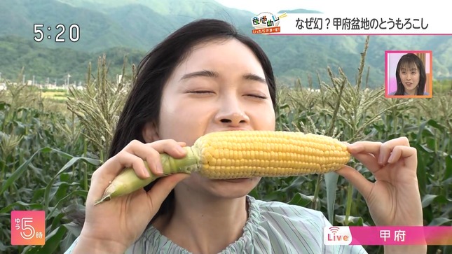 森田茉里恵アナ　トウモロコシを食べる！【GIF動画あり】