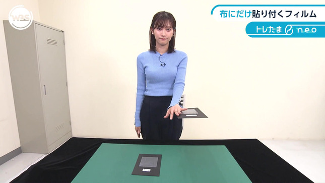 嶺百花 ワールドビジネスサテライト 29