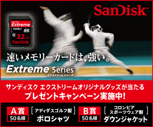 sandisk_300_250_a
