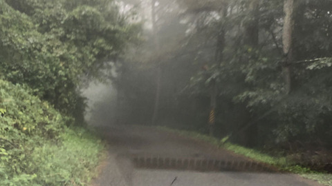 狭い道