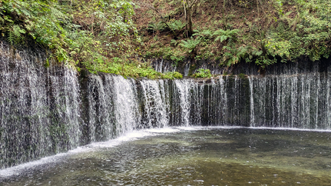 白糸の滝