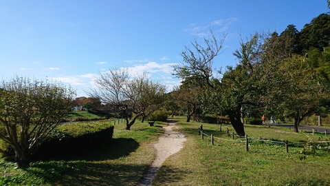 偕楽園探して川沿いを歩く