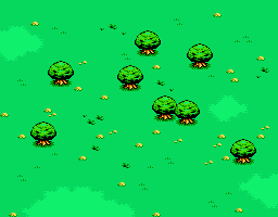 LV02FIELD
