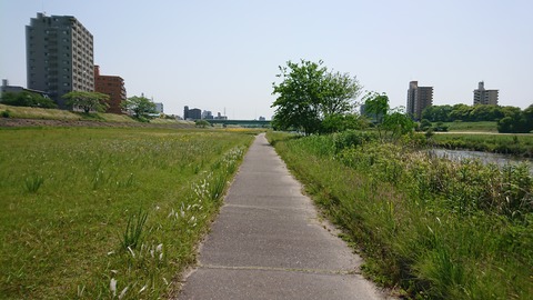 河川敷の散歩道