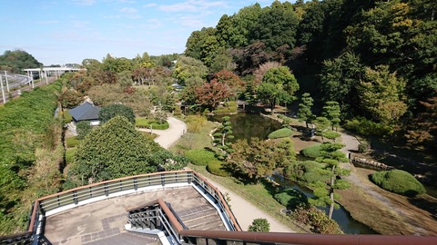 横断歩道から本園を観る