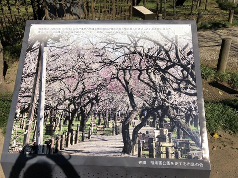 オンシーズンだとこんなに素晴らしい…らしい