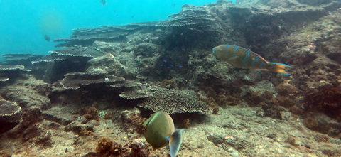 海中展望塔の丸窓からの風景