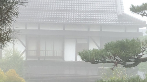 霧に包まれる
