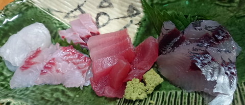 新鮮捕れたての刺し身