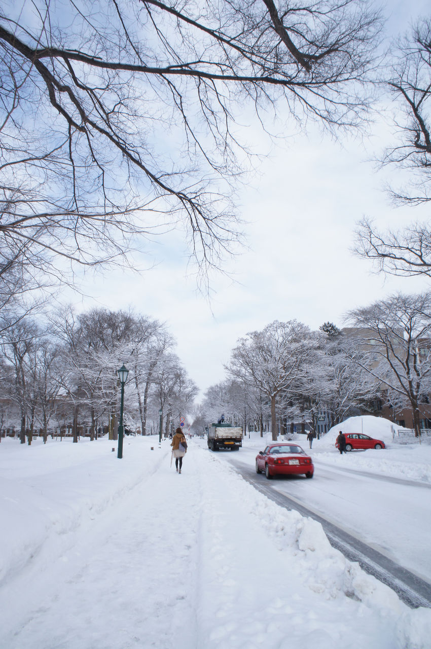 車のバッテリー上がる 充電器 買いました メルテックsc650 玩物喪志 佳境に至りてコーヒーブレイク