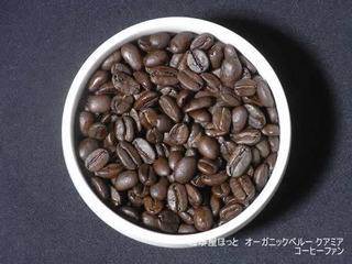 ���결�ۤä�1-11�������˥å��ڥ롼���ʥߥ�