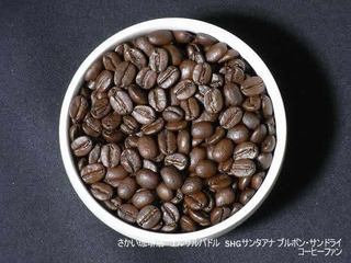 ����������Ź1-6���륵��Хɥ륵�󥿥��ʥ֥�ܥ󥵥�ɥ饤