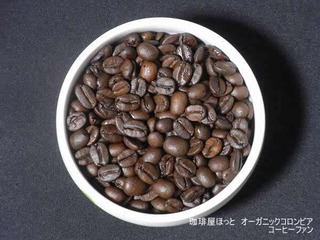 ���결�ۤä�1-10�������˥å�������ӥ�