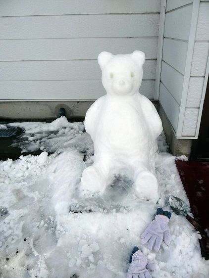 ブログくまちゃん