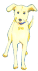 4f292688.gif