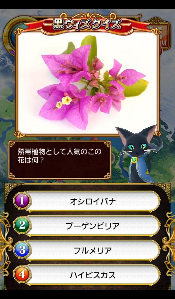 黒ウィズクイズ 熱帯植物として人気の花 紫 めしべ白 黒猫のウィズ ゲームでリハビリを楽しく Game Rehabili Net 黒ウィズクイズ 熱帯植物として人気の花 紫 めしべ白 黒猫のウィズ ゲームでリハビリを楽しく Game Rehabili Net
