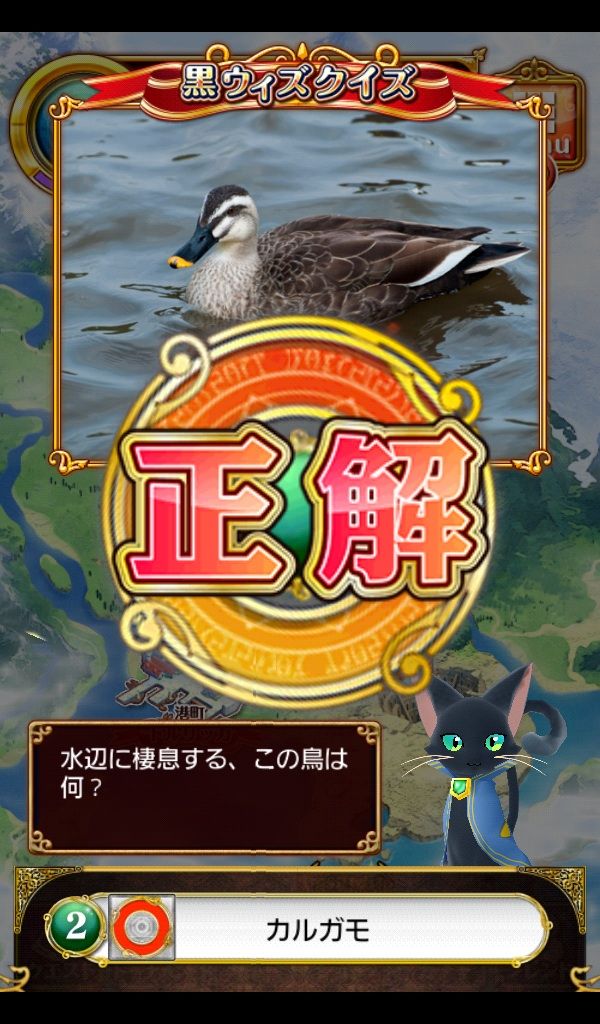黒ウィズクイズ 水辺に棲息する鳥 くちばしの先が黄色 黒猫のウィズ ゲームでリハビリを楽しく Game Rehabili Net 黒ウィズクイズ 水辺に棲息する鳥 くちばしの先が黄色 黒猫のウィズ ゲームでリハビリを楽しく Game Rehabili Net