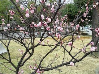 2011030314320000