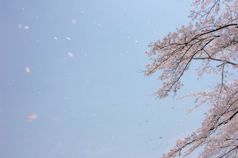 img1401865961954