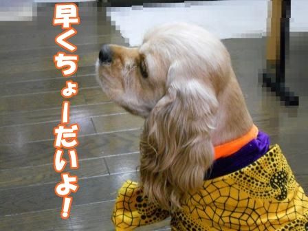 DSCN0044