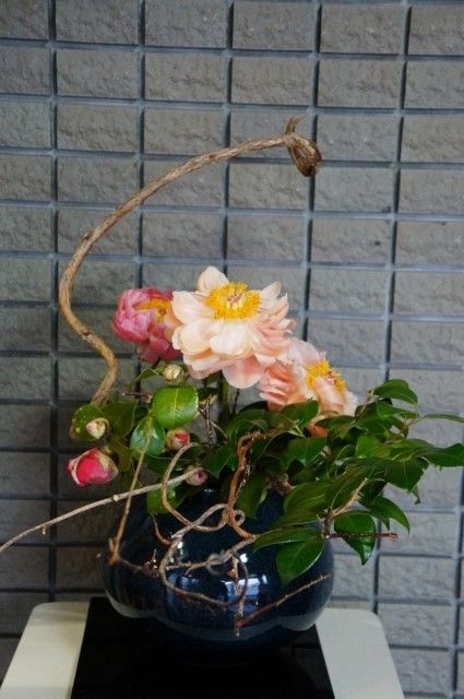 DSC00034