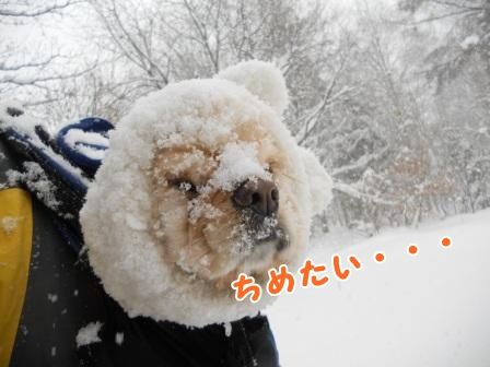 DSCN0044