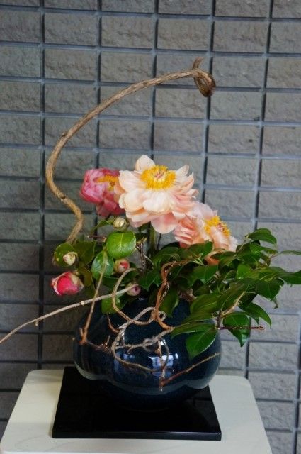 DSC00033