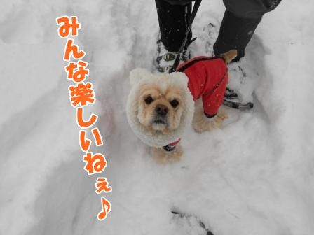 DSCN0004