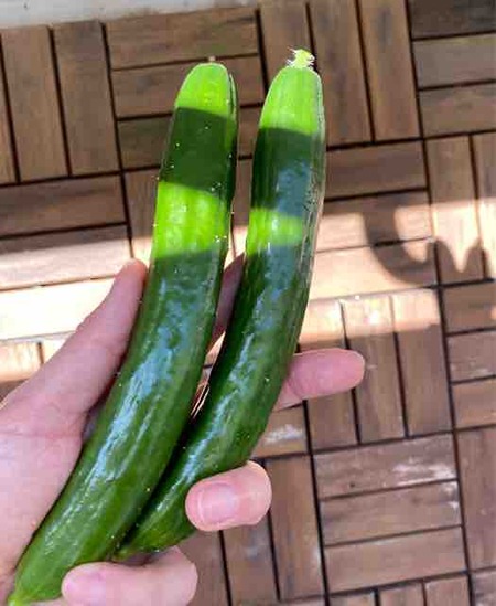 FullSizeRender