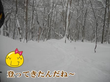 DSCN0019