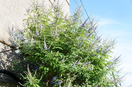 DSC04569