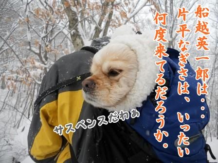 DSCN0023