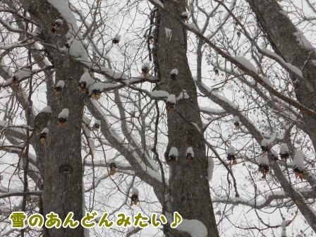 DSCN0037