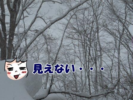 DSCN0015