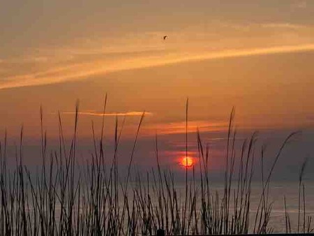 IMG_9753