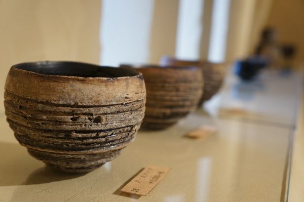 泉田之也 フリーカップ